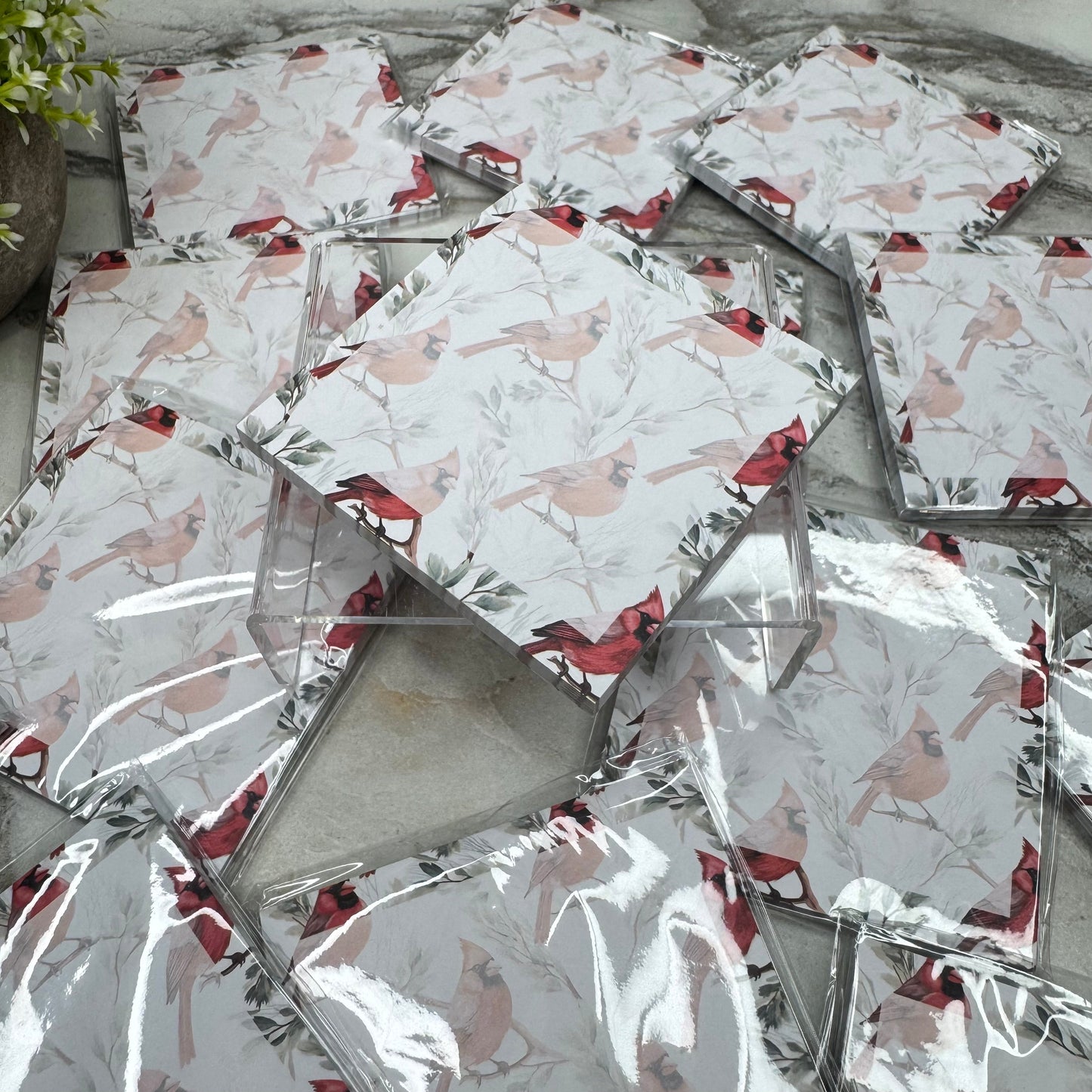 Bundled Set - Cardinal